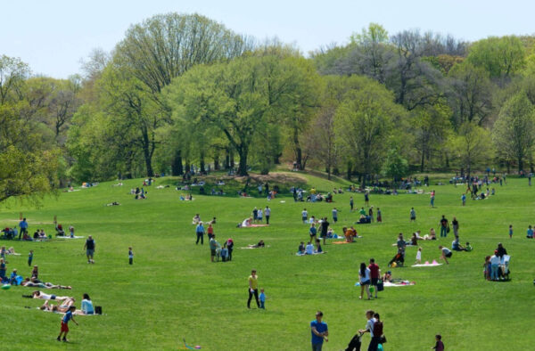 Prospect Park Brooklyn with People - 420 Carroll